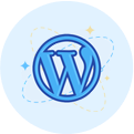 Comprehensive WordPress Services